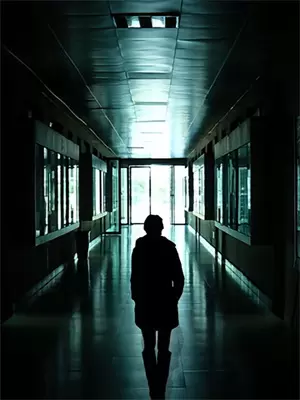 宫斗直播间在线观看