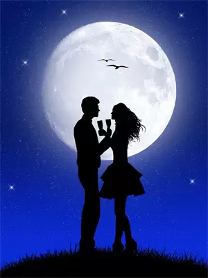 醉折花枝当酒筹生肖