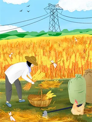 开局叛出宗门全集