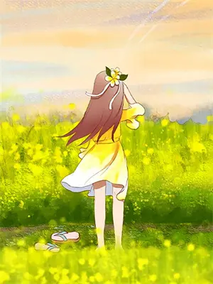 流光逝梦