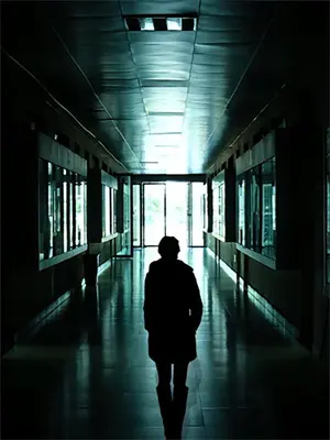 踹掉顶流后我重回豪门